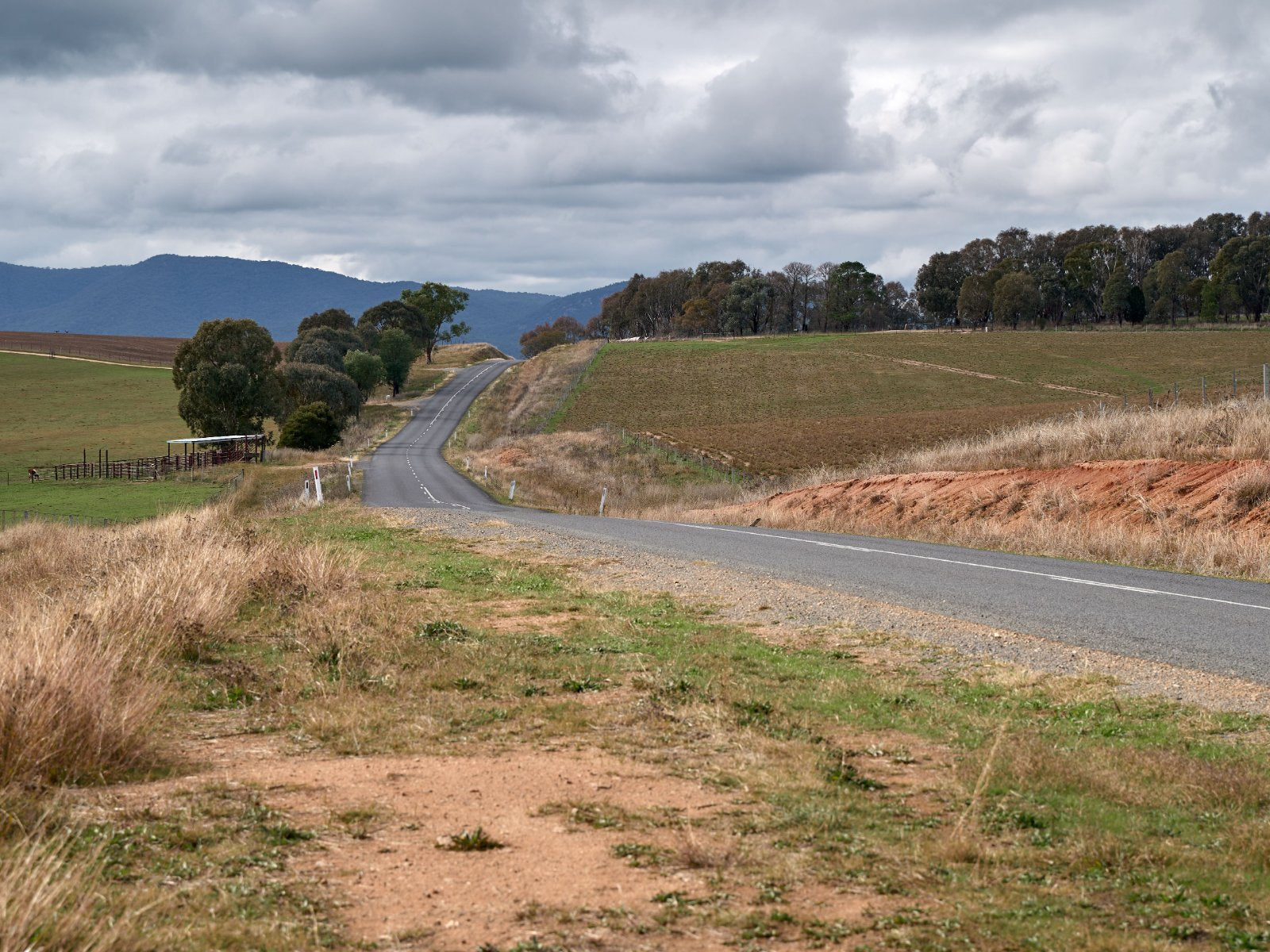 Country road through paddocks on the way to a regional school